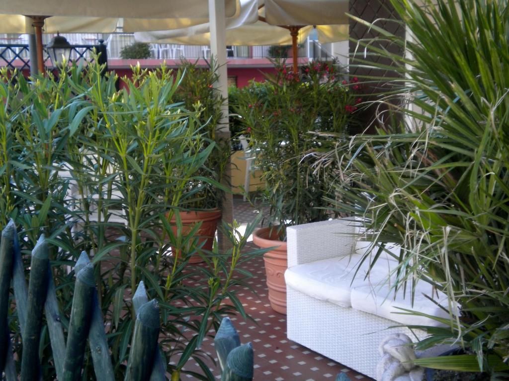 Hotel Nova Dhely Ρίμινι Εξωτερικό φωτογραφία